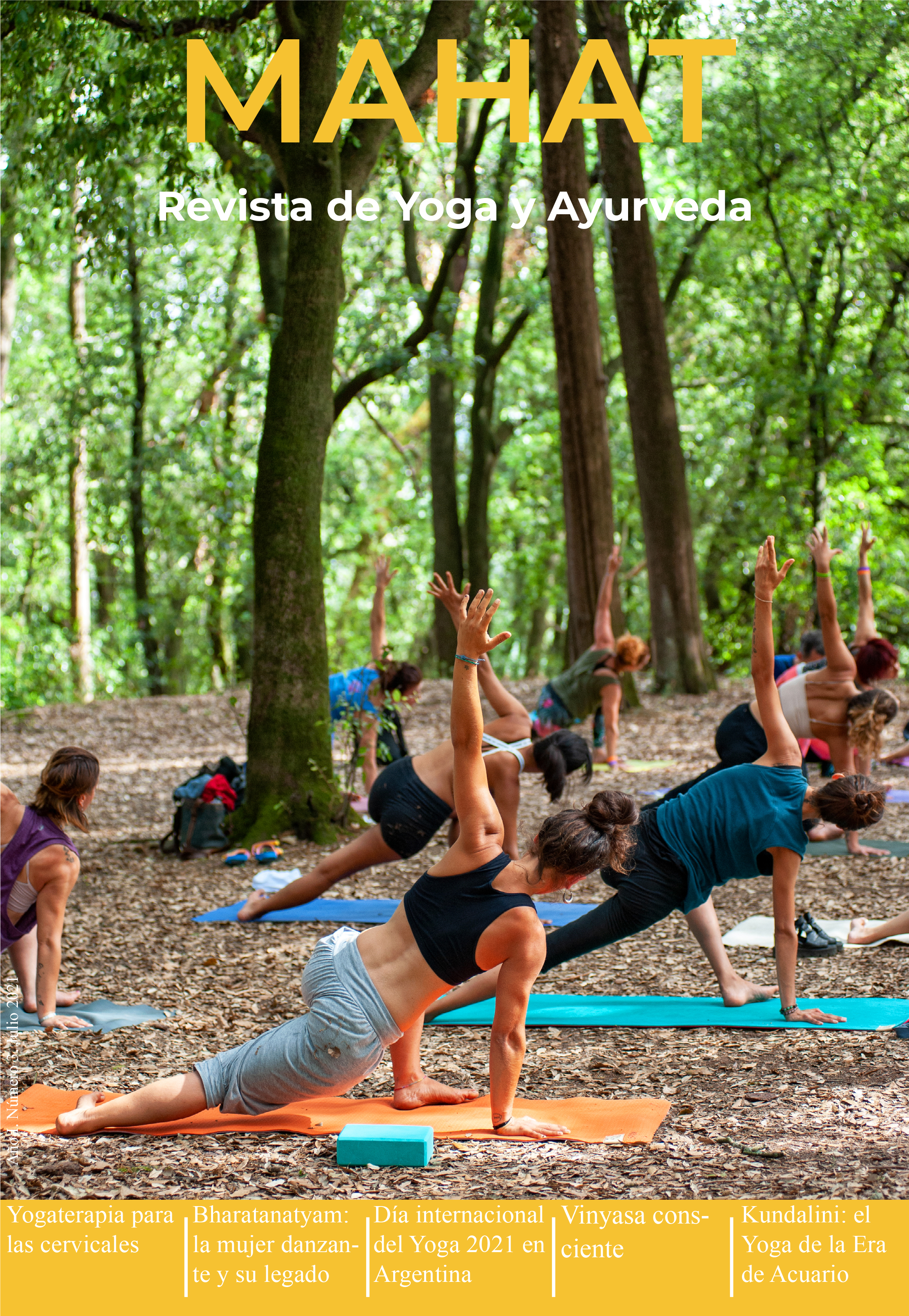Revista Yoga Vida & Yoga_10 (Digital) 